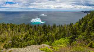 See icebergs along the Newfoundland coast