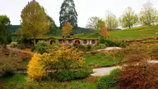 Woodlyn Park, New Zealand Woodlyn Park, New Zealand