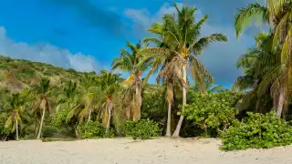 Happy Bay, St. Martin Happy Bay, St. Martin