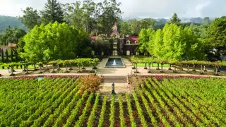 napa-valley-wine-guide