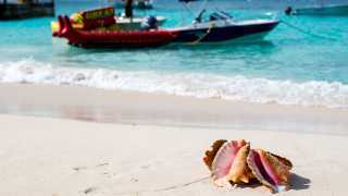 Turks and Caicos' changing culinary scene