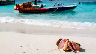 Turks and Caicos' changing culinary scene
