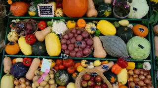 Norfolk County farmers market
