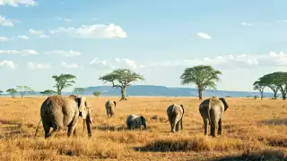 Serengeti National Park