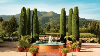 California vineyards