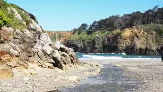 California California