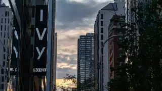 Ivy Hotel Chicago