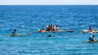 Bay of Donsol, Phillipines Bay of Donsol, Phillipines