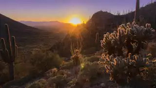 Tuscon, Arizona guide