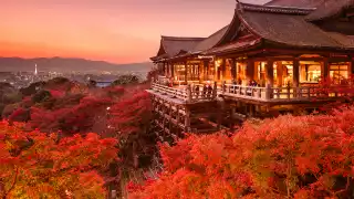 Accessible Japan 2020 Olympics