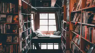 hygge bookshelf