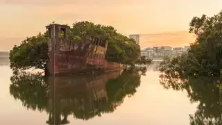 SS Ayrfield shipwreck in Homebush Bay, Australia