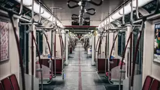 Things to do in Toronto in quarantine