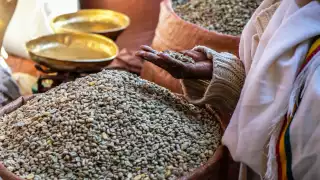 best coffee cities