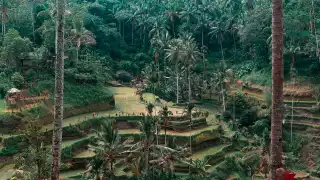 best travel movies to watch right now