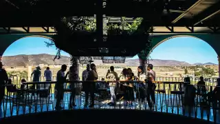 Valle de Guadelupe, Mexico's beautiful wine country