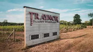 Best Prince Edward Wineries | Traynor Family Vineyards