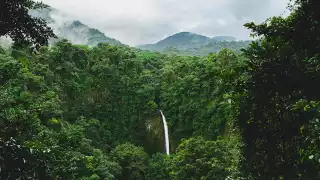The Caribbean, Mexico and Central America reopen borders | Costa Rica The Caribbean, Mexico and Central America reopen borders | Costa Rica