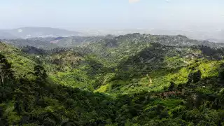 The Caribbean, Mexico and Central America reopen borders | Jamaica The Caribbean, Mexico and Central America reopen borders | Jamaica