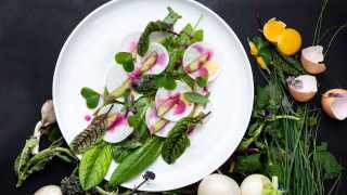 Restaurants in Victoria, B.C. plus hotels, activities and more | A vegetable and egg dish at the Courtney Room at the Magnolia Hotel & Spa