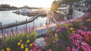 Restaurants in Victoria, B.C. plus hotels, activities and more | Beautiful gardens and shops in the Inner Harbour