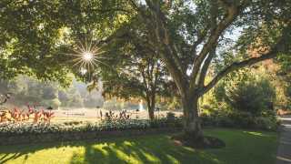 Restaurants in Victoria, B.C. plus hotels, activities and more | The lawns at Butchart Gardens