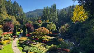 Restaurants in Victoria, B.C. plus hotels, activities and more | Flora at Butchart Gardens