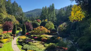 Restaurants in Victoria, B.C. plus hotels, activities and more | Flora at Butchart Gardens