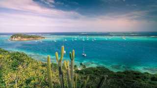 Blue seas and cactus in St Vincent & the Grenadines