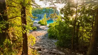 Ontario's best hikes | The Bruce Trail