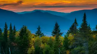 New Hampshire restaurants and activities | The White Mountains looming in the distance behind the trees