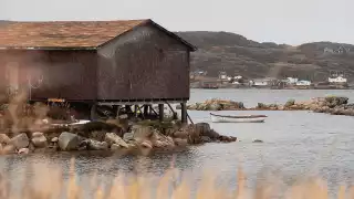 A Rising Tide, cookbook and stories from Canada's Atlantic Coast | Newfoundland and Labrador