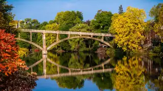 Guelph, Ontario vacation | Fall leaves surrounding a river