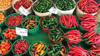 The best things to do and eat in Montreal | A pepper stand at Jean Talon Market
