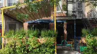 The best things to do and eat in Montreal | Buvette Chez Simone