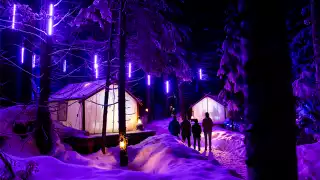 Best things to do in Whistler | Vallea Lumina at night