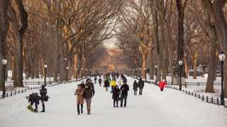New York City | Central Park