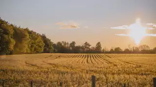 Rouge National Urban Park | Sunset trail at Rouge National Urban Park