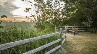 Rouge National Urban Park | Vista lookout at Rouge National Urban Park