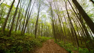 Rouge National Urban Park | Vista trail at Rouge National Urban Park
