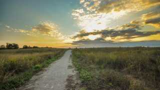 Rouge National Urban Park | Sunset on a trail at Rouge National Urban Park
