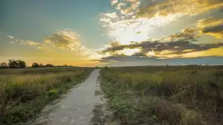 Rouge National Urban Park | Sunset on a trail at Rouge National Urban Park