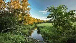 Rouge National Urban Park | Coyote trail at Rouge National Urban Park