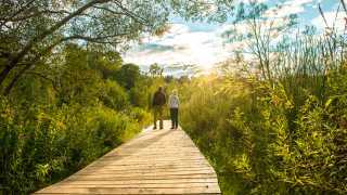Rouge National Urban Park | Guided hike at Rouge National Urban Park