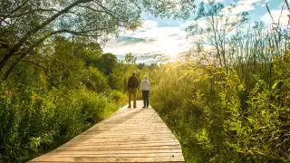 Rouge National Urban Park | Guided hike at Rouge National Urban Park