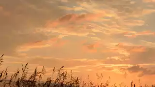 Rouge National Urban Park | Sunset at Rouge National Urban Park