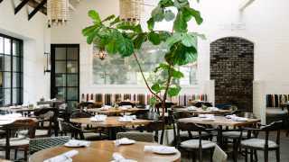 Guide to West Hollywood | Patio at Gracias Madre in West Hollywood