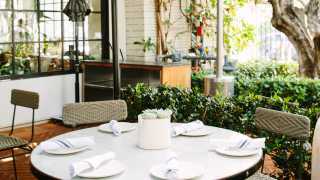 Guide to West Hollywood | Lush patio at Gracias Madre in West Hollywood