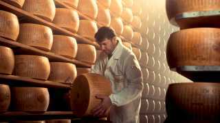 Wheels of Parmigiano Reggiano in Parma, Italy