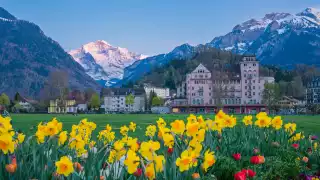 Flowers and mountains flank the town of Interlaken, Switzerland